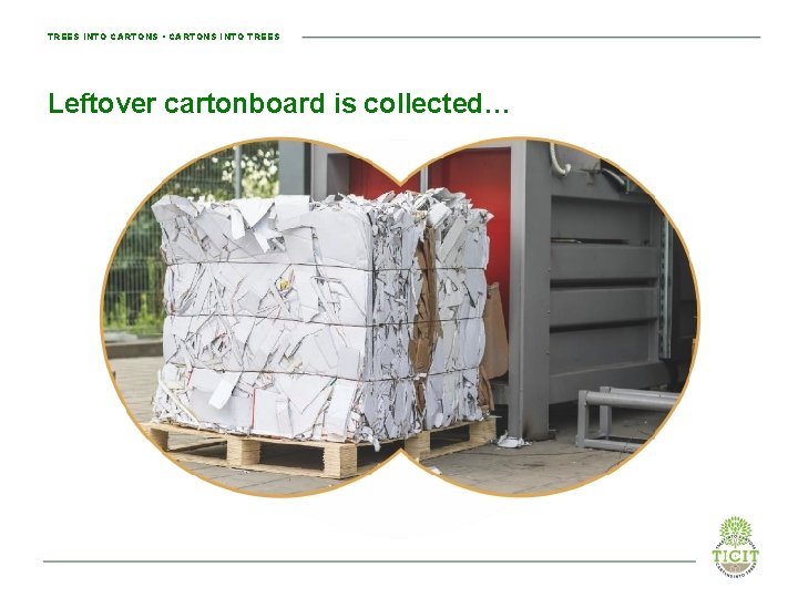 TREES INTO CARTONS • CARTONS INTO TREES Leftover cartonboard is collected… 