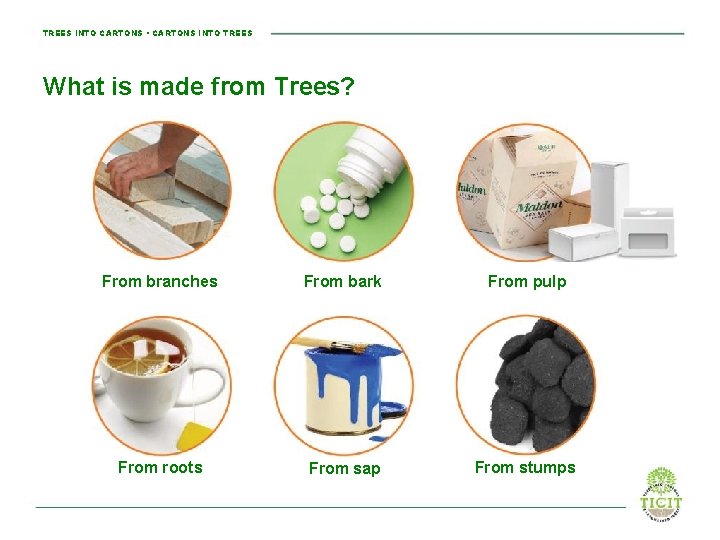 TREES INTO CARTONS • CARTONS INTO TREES What is made from Trees? From branches