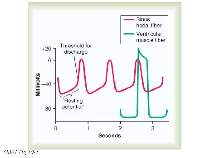 G&H Fig 10 -1 