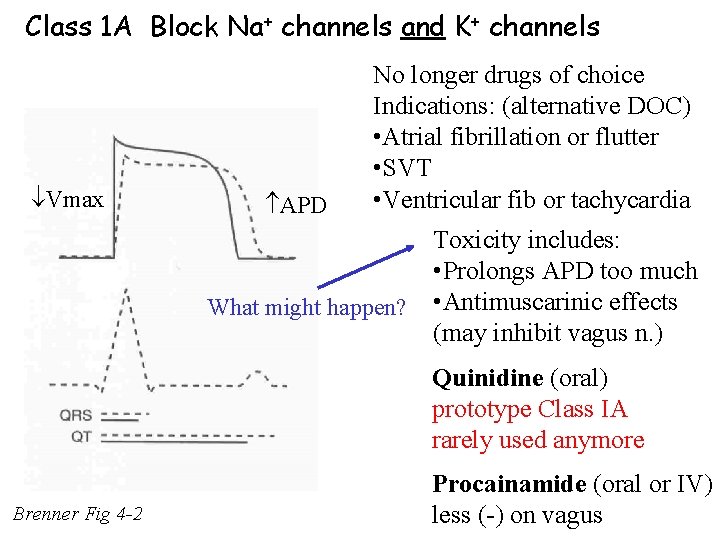 Class 1 A Block Na+ channels and K+ channels Vmax APD No longer drugs