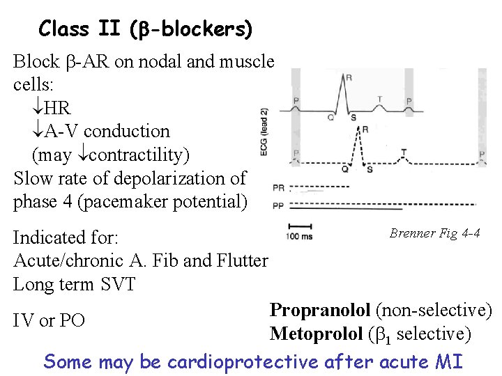 Class II ( -blockers) Block -AR on nodal and muscle cells: HR A-V conduction