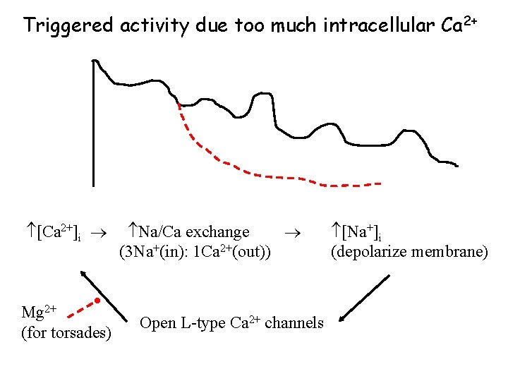 Triggered activity due too much intracellular Ca 2+ [Ca 2+]i Mg 2+ (for torsades)