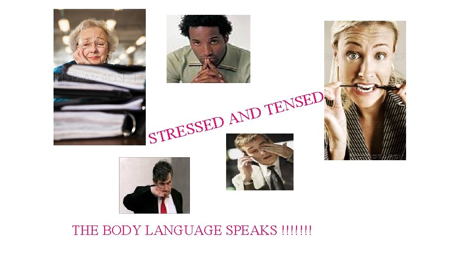 S S E R ST D N A ED D E S TEN THE