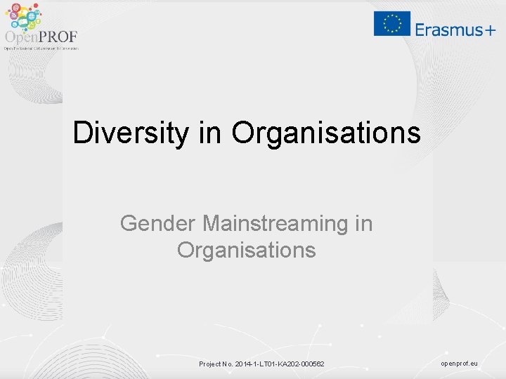 Diversity in Organisations Gender Mainstreaming in Organisations Project No. 2014 -1 -LT 01 -KA