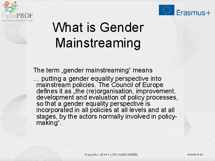 What is Gender Mainstreaming The term „gender mainstreaming“ means … putting a gender equality