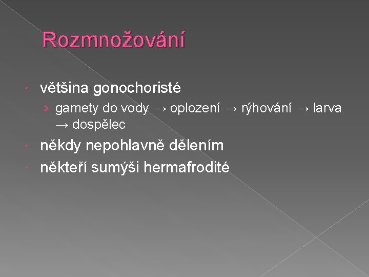 Rozmnožování většina gonochoristé › gamety do vody → oplození → rýhování → larva →