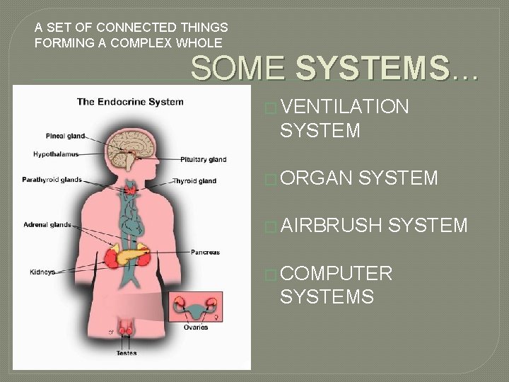 A SET OF CONNECTED THINGS FORMING A COMPLEX WHOLE SOME SYSTEMS… � VENTILATION SYSTEM