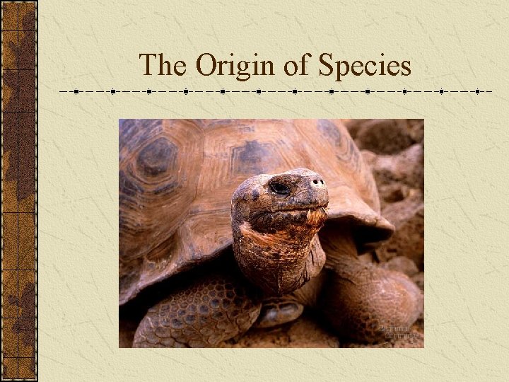 The Origin of Species 