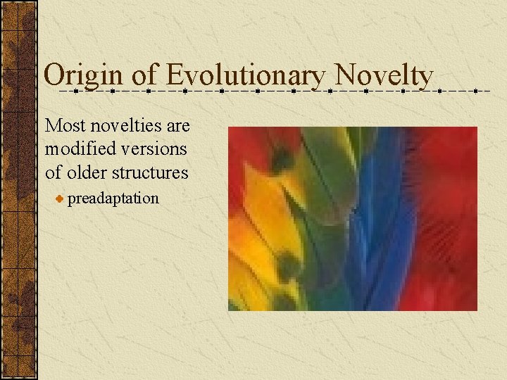 Origin of Evolutionary Novelty Most novelties are modified versions of older structures preadaptation 