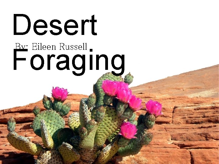 Desert Foraging By: Eileen Russell 