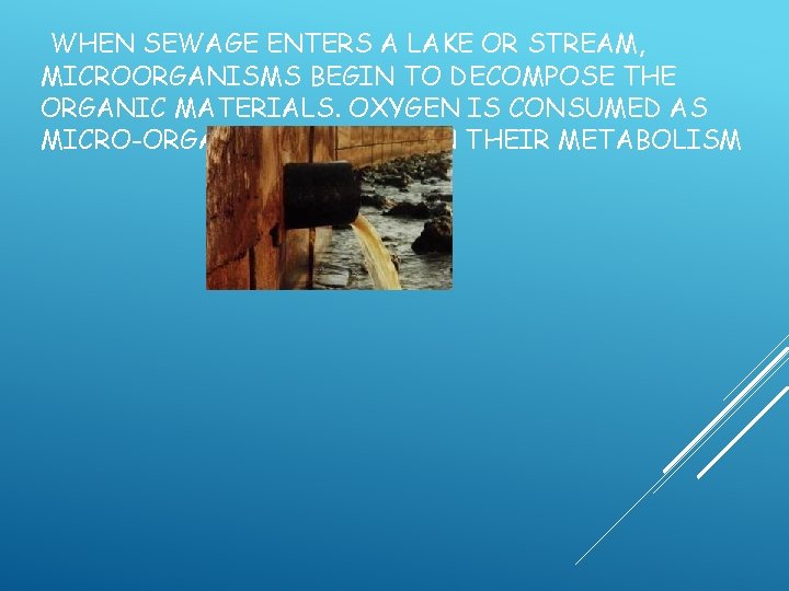  WHEN SEWAGE ENTERS A LAKE OR STREAM, MICROORGANISMS BEGIN TO DECOMPOSE THE ORGANIC