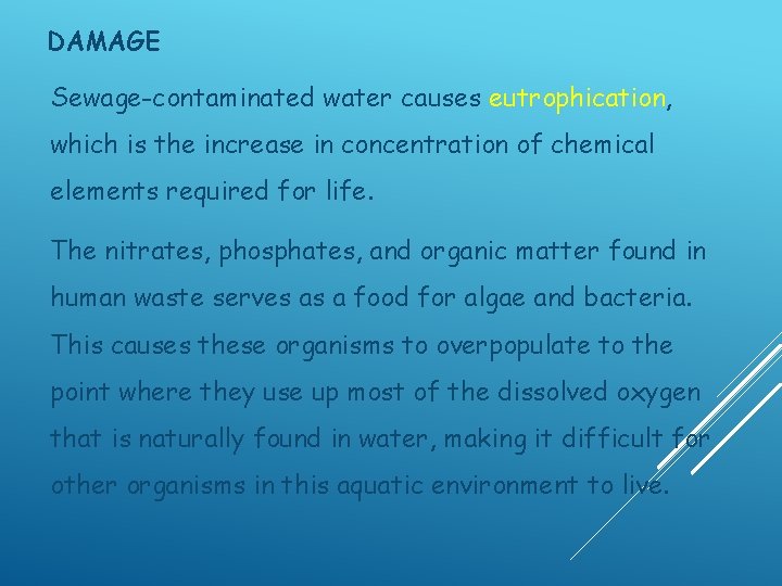 DAMAGE Sewage-contaminated water causes eutrophication, which is the increase in concentration of chemical elements