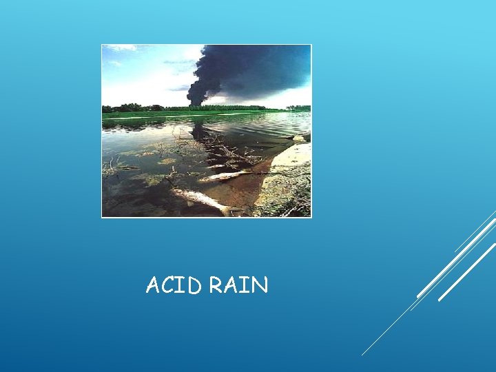 ACID RAIN 