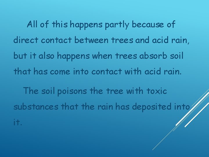 All of this happens partly because of direct contact between trees and acid rain,