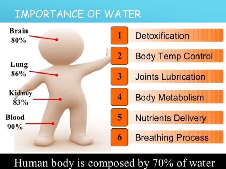 IMPORTANCE OF WATER 