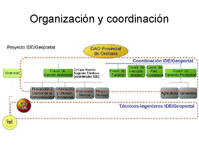 Organización y coordinación Organización y coordinación