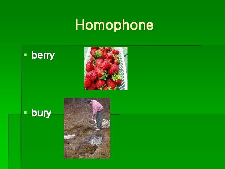 Homophone § berry § bury 