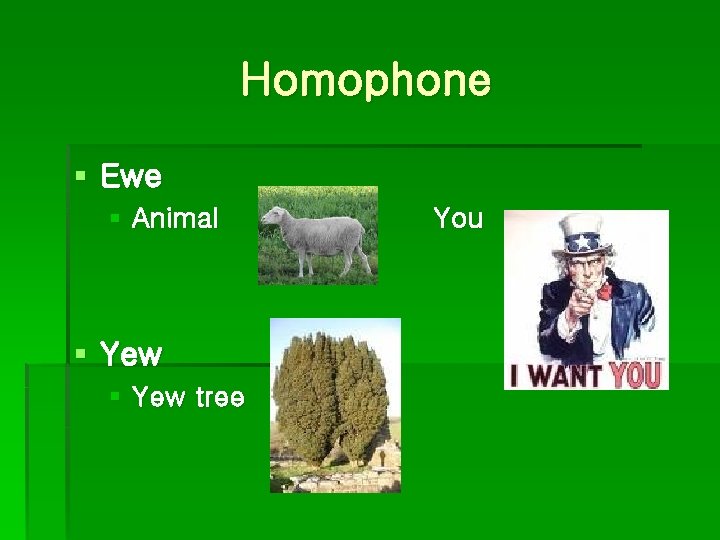 Homophone § Ewe § Animal § Yew tree You 