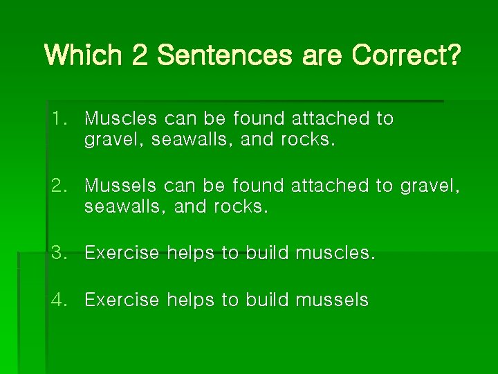 Which 2 Sentences are Correct? 1. Muscles can be found attached to gravel, seawalls,