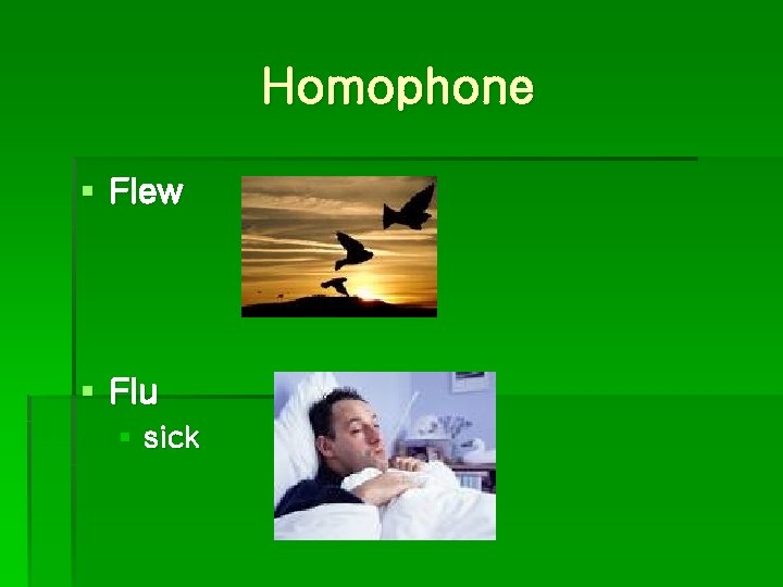 Homophone § Flew § Flu § sick 