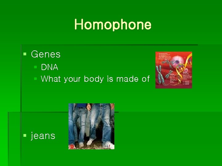 Homophone § Genes § DNA § What your body is made of § jeans