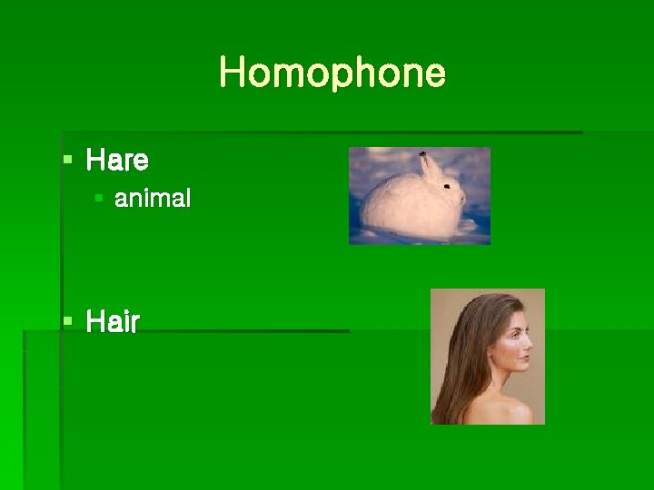 Homophone § Hare § animal § Hair 