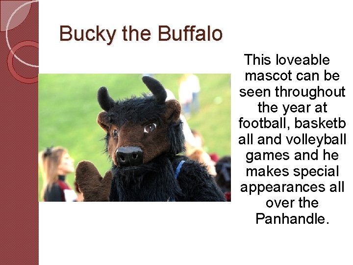 Bucky the Buffalo This loveable mascot can be seen throughout the year at football,