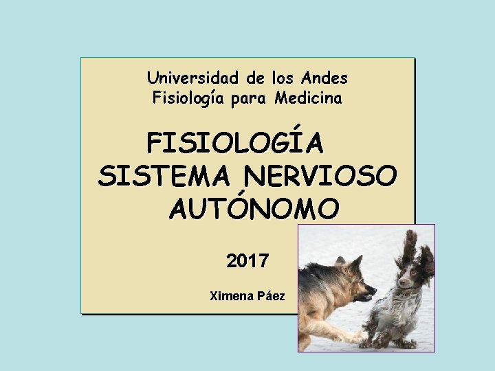 Universidad de los Andes Fisiología para Medicina FISIOLOGÍA SISTEMA NERVIOSO AUTÓNOMO 2017 Ximena Páez