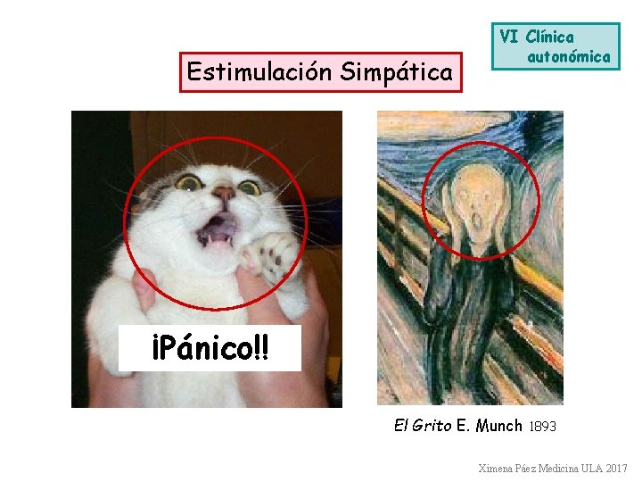 Estimulación Simpática VI Clínica autonómica ¡Pánico!! El Grito E. Munch 1893 Ximena Páez Medicina