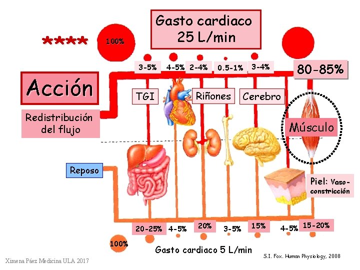 **** Gasto cardiaco 25 L/min 100% 3 -5% Acción 4 -5% 2 -4% 0.