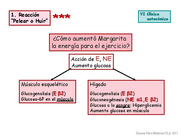 1. Reacción “Pelear o Huir” *** VI Clínica autonómica ¿Cómo aumentó Margarita la energía