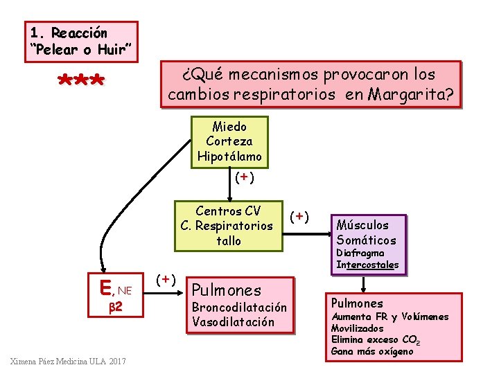 1. Reacción “Pelear o Huir” ¿Qué mecanismos provocaron los cambios respiratorios en Margarita? ***