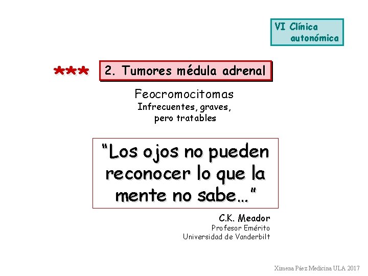 VI Clínica autonómica *** 2. Tumores médula adrenal Feocromocitomas Infrecuentes, graves, pero tratables “Los