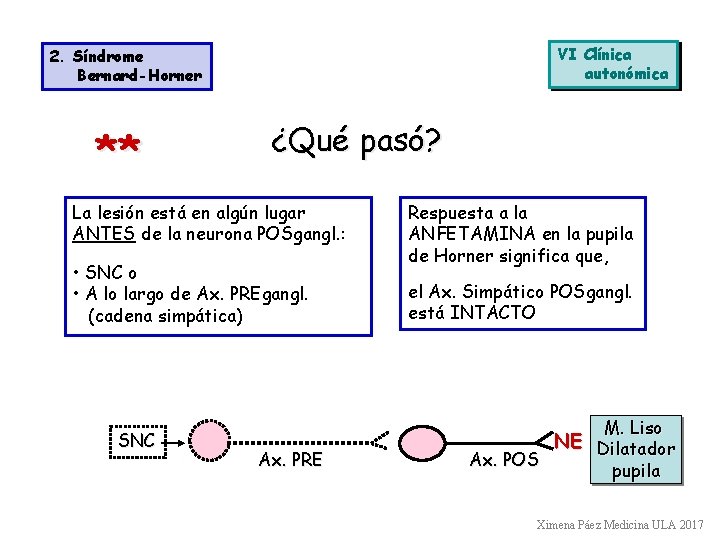 VI Clínica autonómica 2. Síndrome Bernard-Horner ** ¿Qué pasó? La lesión está en algún