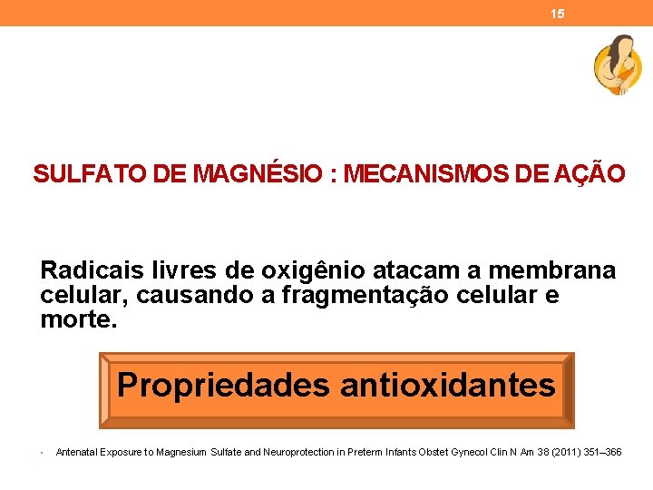 15 SULFATO DE MAGNÉSIO : MECANISMOS DE AÇÃO Radicais livres de oxigênio atacam a