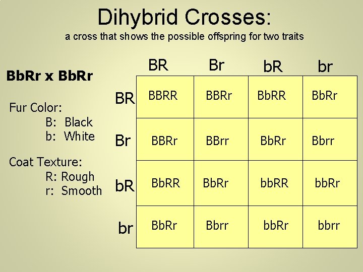 a-dihybrid-cross-involves-the-crossing-of-just-one-trait-mic150-chap