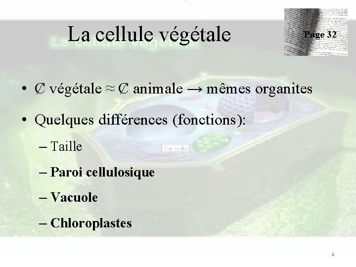 La cellule végétale Page 32 • Ȼ végétale ≈ Ȼ animale → mêmes organites