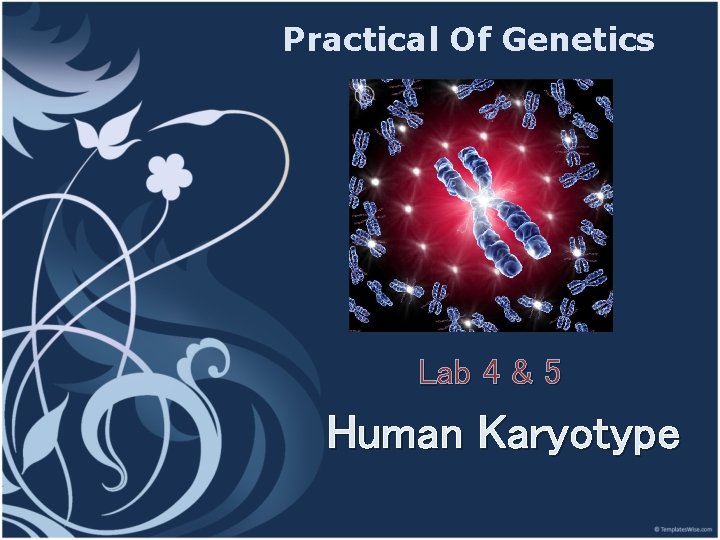 Practical Of Genetics Lab 4 & 5 Human Karyotype 