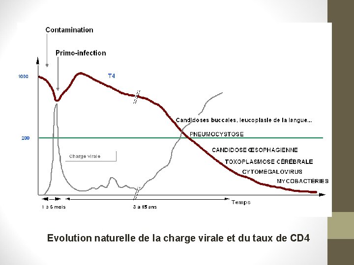 Infection VIH Et SIDA Cours IFSI 291020 Dr