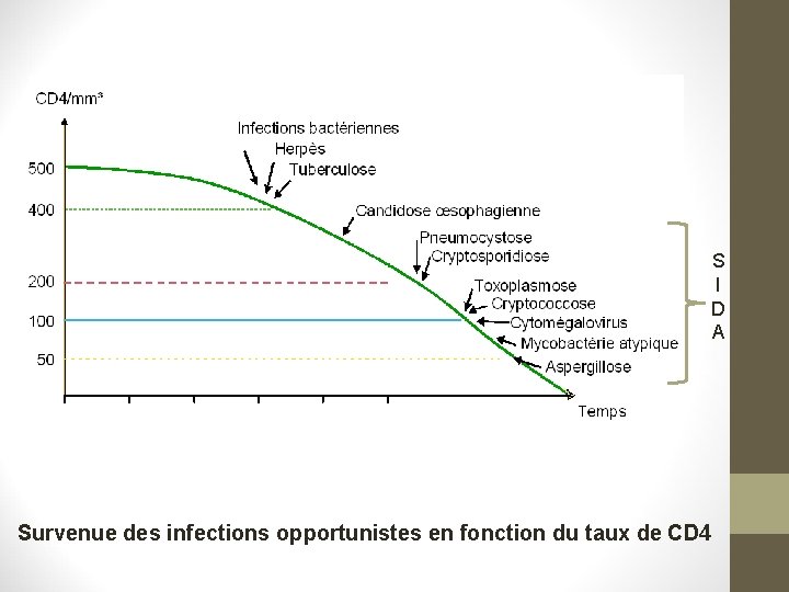 S I D A Survenue des infections opportunistes en fonction du taux de CD S I D A Survenue des infections opportunistes en fonction du taux de CD