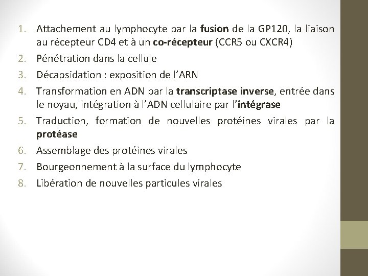 1. Attachement au lymphocyte par la fusion de la GP 120, la liaison au 1. Attachement au lymphocyte par la fusion de la GP 120, la liaison au