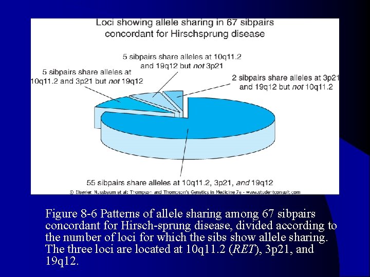 l Figure 8 -6 Patterns of allele sharing among 67 sibpairs concordant for Hirsch-sprung l Figure 8 -6 Patterns of allele sharing among 67 sibpairs concordant for Hirsch-sprung