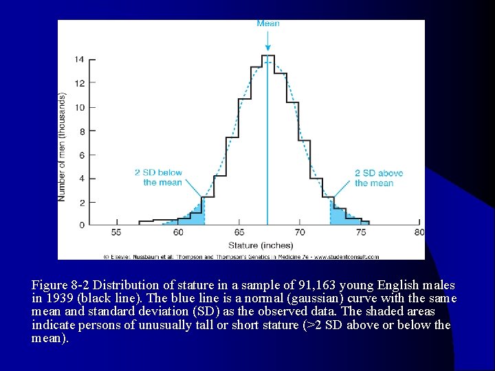 l Figure 8 -2 Distribution of stature in a sample of 91, 163 young l Figure 8 -2 Distribution of stature in a sample of 91, 163 young