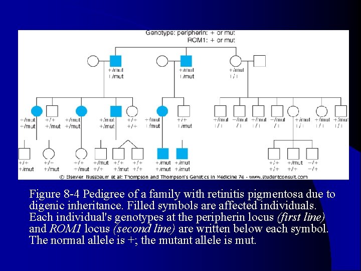 l Figure 8 -4 Pedigree of a family with retinitis pigmentosa due to digenic l Figure 8 -4 Pedigree of a family with retinitis pigmentosa due to digenic