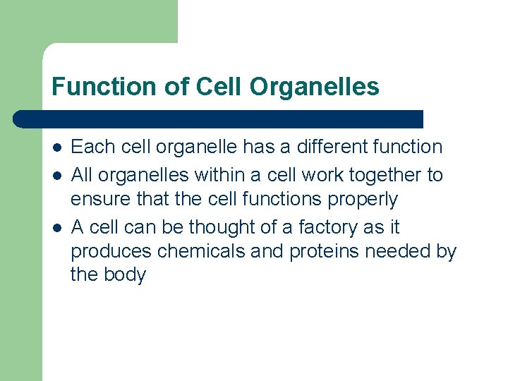 Function of Cell Organelles l l l Each cell organelle has a different function