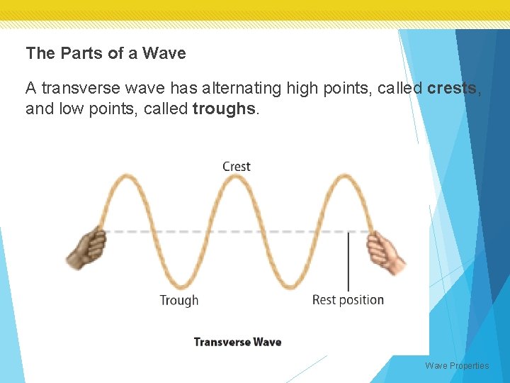 The Parts of a Wave A transverse wave has alternating high points, called crests,