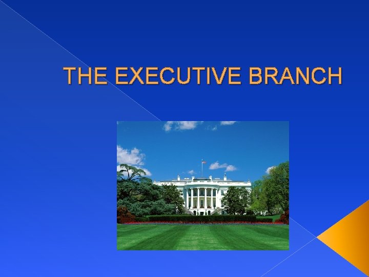 THE EXECUTIVE BRANCH 