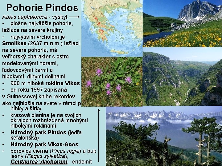 Pohorie Pindos Abies cephalonica - výskyt • plošne najväčšie pohorie, ležiace na severe krajiny