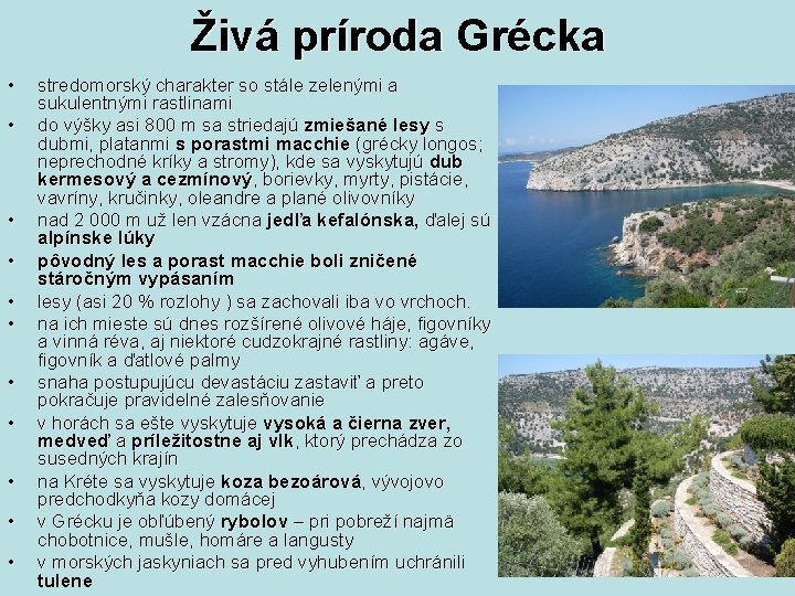 Živá príroda Grécka • • • stredomorský charakter so stále zelenými a sukulentnými rastlinami