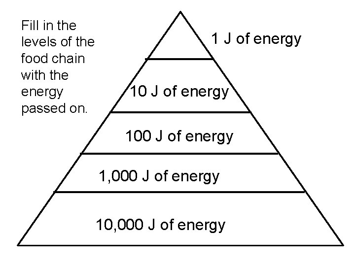 Fill in the levels of the food chain with the energy passed on. 1